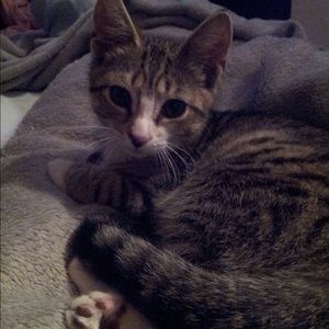 Meet your Posher, Erin